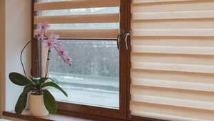Rolety okienne - co musisz o nich wiedzieć?