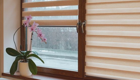 Podstawowe informacje na temat rolet okiennych