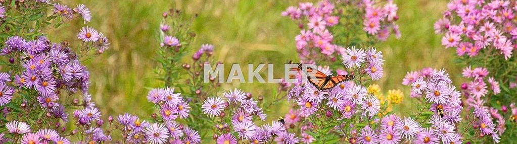 Działka idealna pod inwestycję gmina szubin