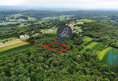 Las na sprzedaż – porąbka uszewska, 62 ary