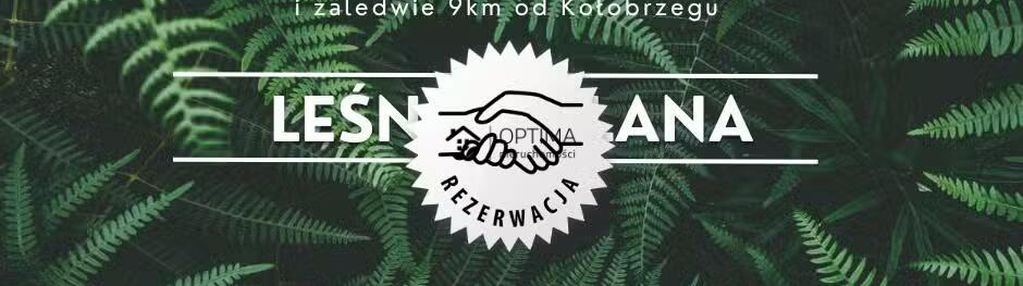 Działka z widokiem na las, obok vilpark