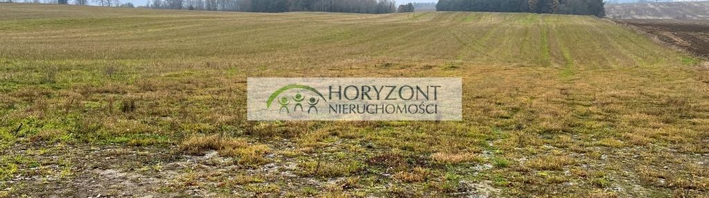 Działka borcz gm. somonino 2 ha