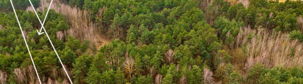 Działki rolne zalesione, szczerców
