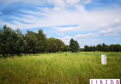 Działka budowlana w skórzewie