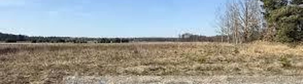 Atrakcyjna działka kolonia żabokliki