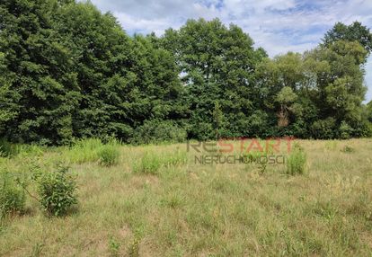 Duża działka budowlana z własnym lasem