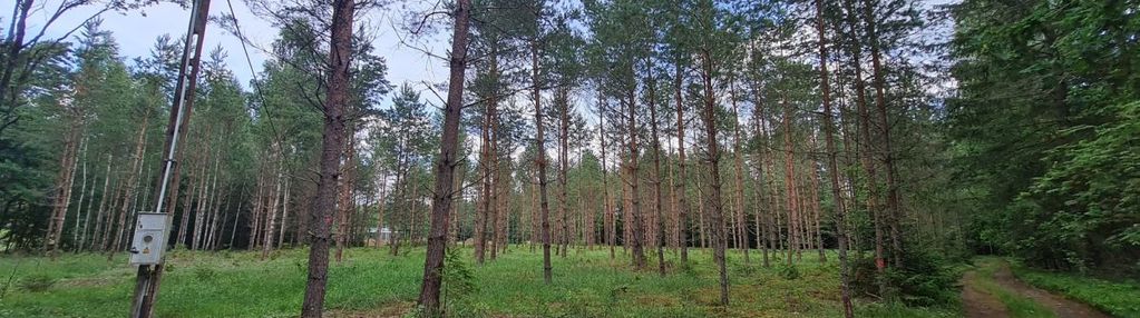 Działka budowlana w puszczy augustowskiej