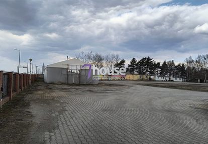 Utwardzony teren hale 12 168m2