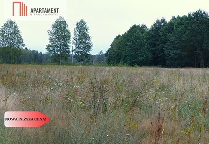 Wydane warunki zabudowy pod siedlisko - małomin