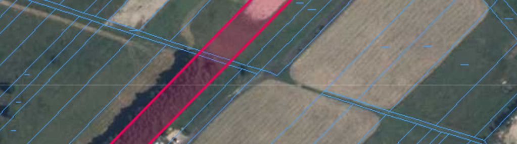 Działka 6000 m² – żabokliki