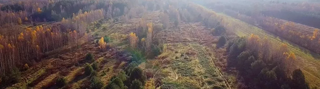 Działka na sprzedaż 226m2