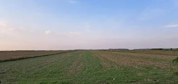 Działka na sprzedaż 258m2