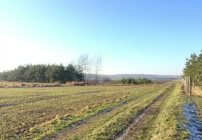 Działka na sprzedaż 3000m2