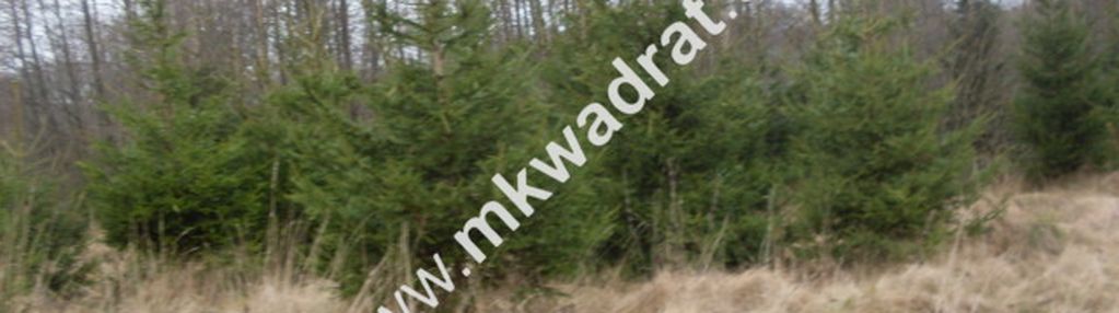 Działka z pozwoleniem na budowę