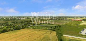 Strefa ekonomiczna: usługi, produkcja, przemysł