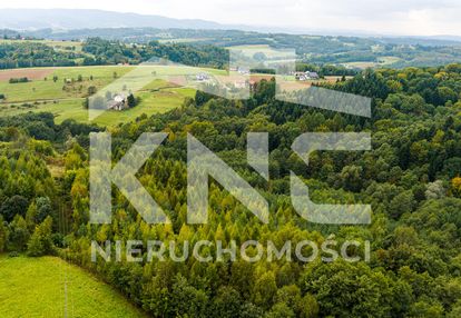 Na sprzedaż działka w zalasowej