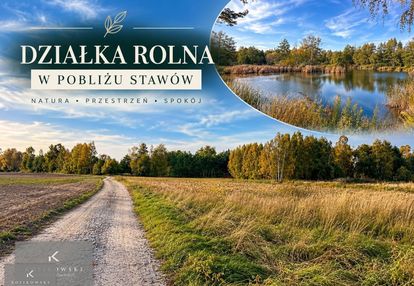 Działka rolna 71,69ar – nowa wieś, gm. domaszowice