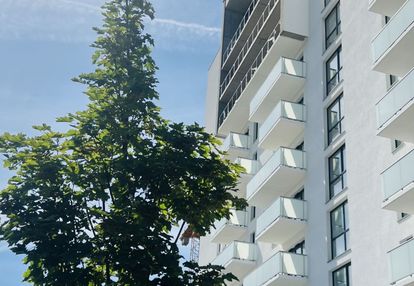 Premium! szybki odbiór! zobacz na żywo