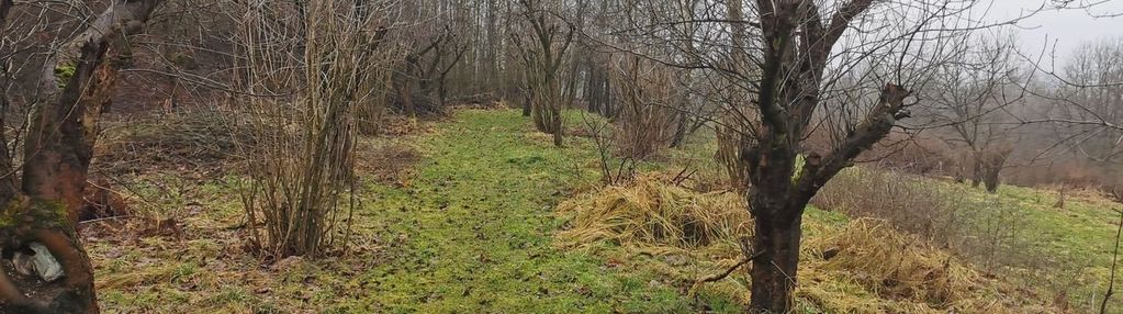 Działki budowlane- golkowice (od 10a do 15a)