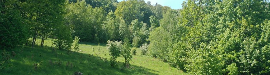Działka budowlana w obszarach naturalnych.