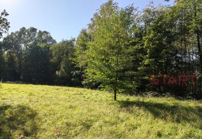 Zabudowa rezydencjonalna