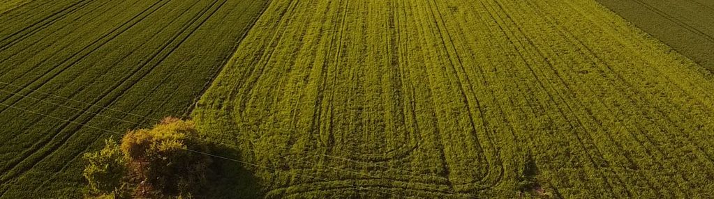 Atrakcyjna działka budowlana 919 m² – nowe opole