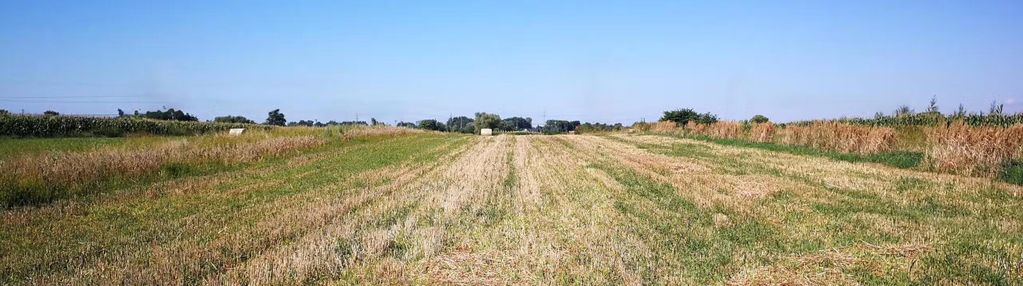 Działka budowlana, prostokątna, równa