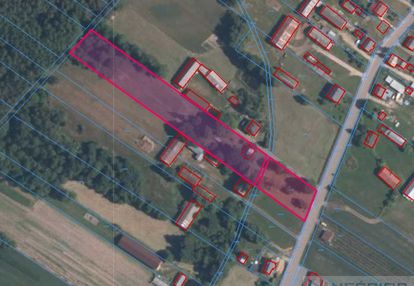 Działka 6700m2 na sprzedaż z siedliskiem