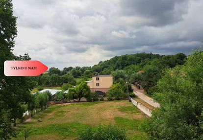 Dzialka ze stawem widlice