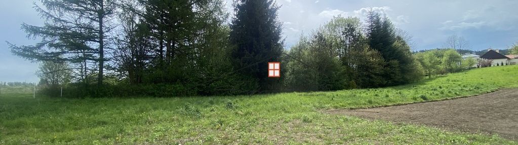 Działka z potencjałem – prałkowce (gm. krasiczyn)