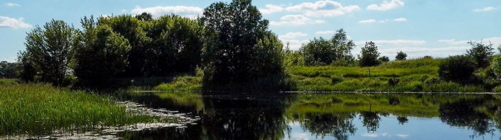 Lina brzegowa biebrzy, teren z istniejącą zabudową