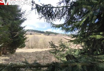 Widok na zachód słońca, prąd dostępny na działce