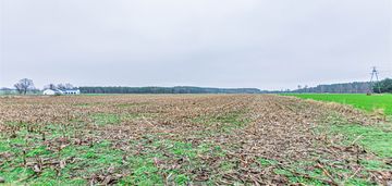 Na sprzedaż działka w boruchowie gmina ryczywół