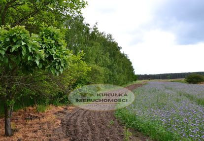 Grunty na sprzedaż w dobrej lokalizacji