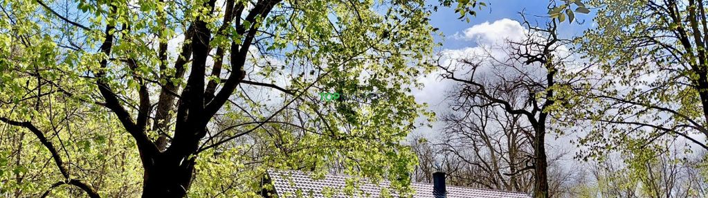 Atrakcyjna działka  józefów, las, rzeka.