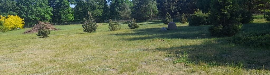 Działka w rozgartach