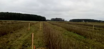 Działka na sprzedaż 3100m2