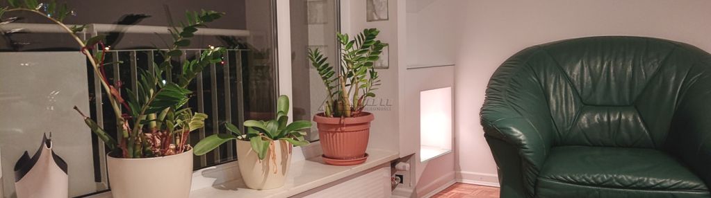 Metro imielin, zwierzęta mile widziane