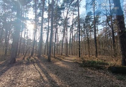 Dom w pobliżu lasu! taras 19m2! 110tys. taniej