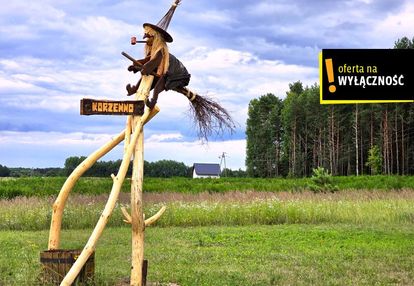 Działka z sielskim klimatem pod zabudowę korzenno