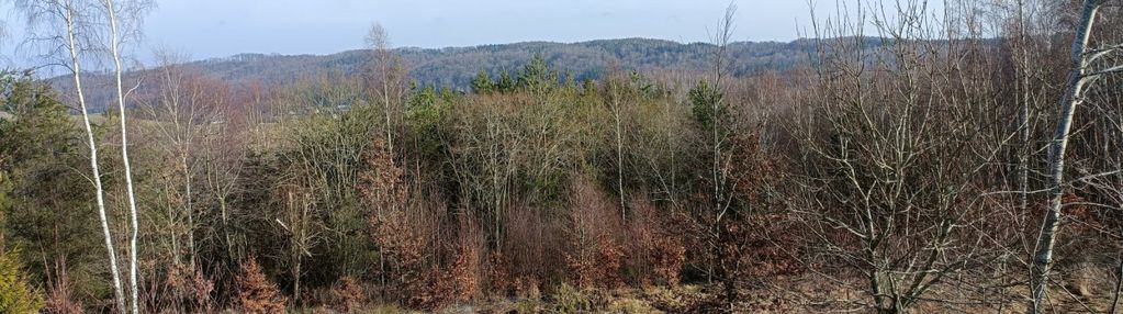 Urokliwa działka , możliwość podziału