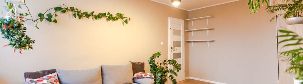 Do wynajęcia 3 pokoje w centrum zielonej góry!