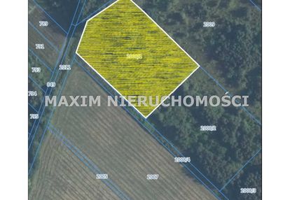 Działka inwestycyjna 4166 m² w łochowie