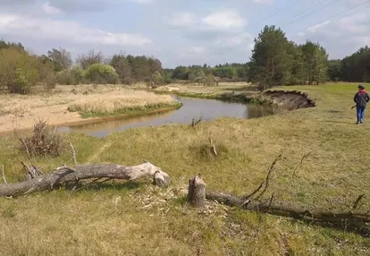 Działka na sprzedaż 1000m2