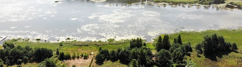 Gorczyca, płaska działka z linią brzegową jeziora