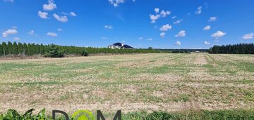 Działka 4778 m²-radawiec duży- 9 km od lublina...