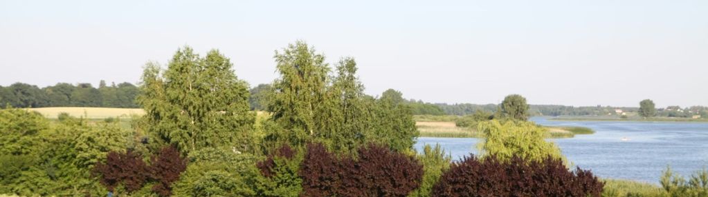 Działka nad jeziorem z linią brzegową