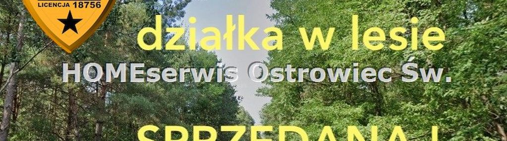 Na sprzedaż działka o pow. 4100 m2 las rzeczki