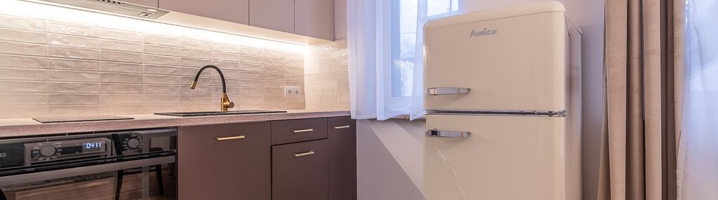 Dobrze wyposażone nowe ice kraków *stare dębniki*