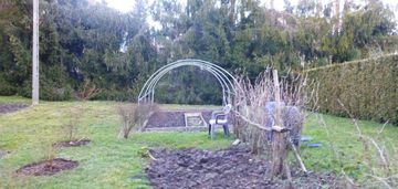 Spokojne miejsce, wszystkie media, dojazd asfalt.